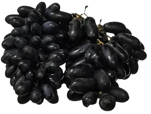 Black Grapes