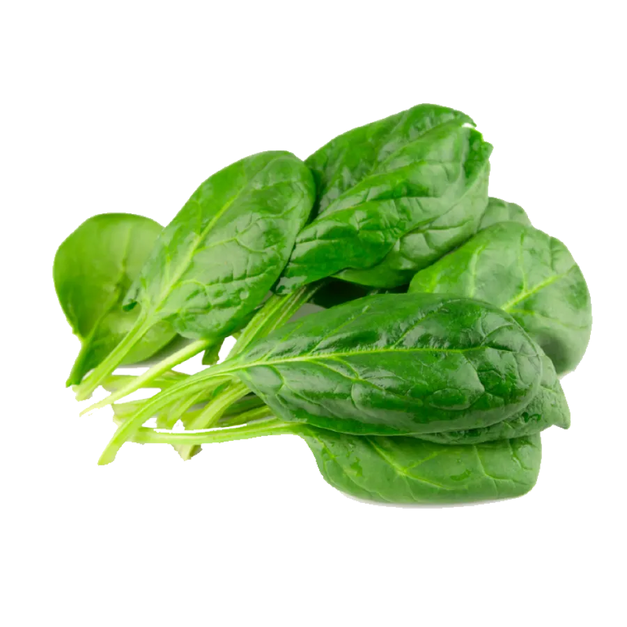 Spinach - Per Bunch ( पालक - प्रति १ मुठा )