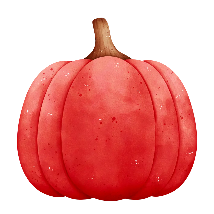 Red Pumpkin (Pakeko Farsi) [पाकेको फर्सी], per kg