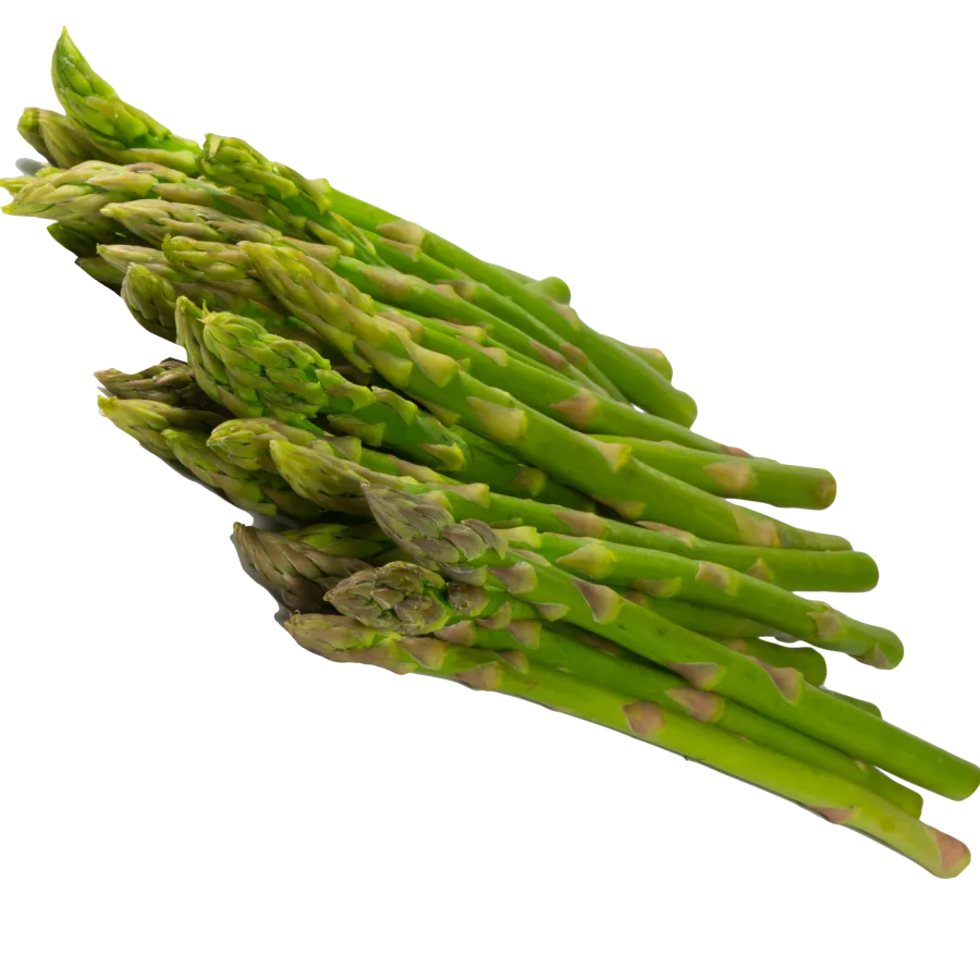 Asparagus (Kurilo) [कुरिलो]