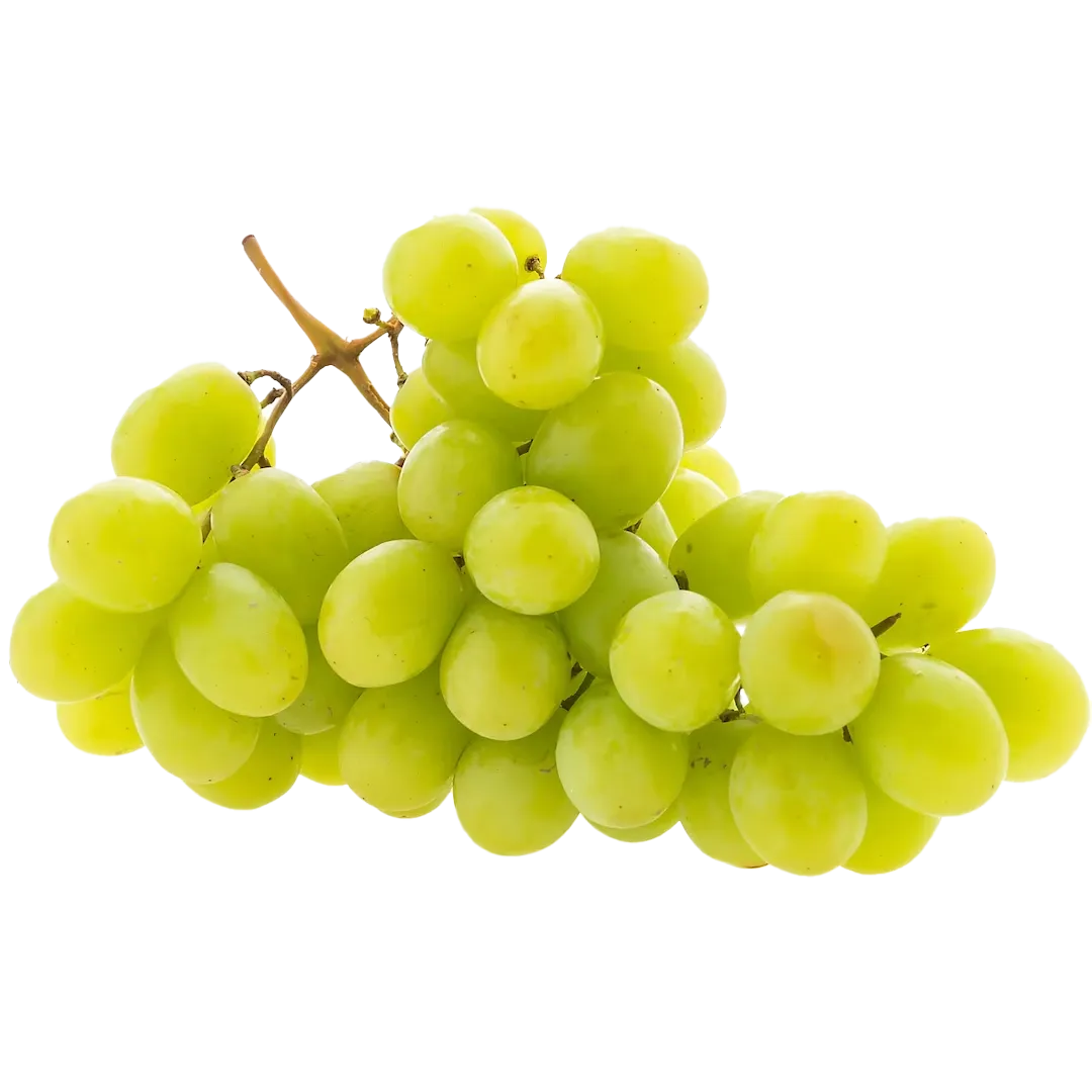 Grapes (Green)